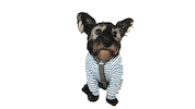 Sticker by RedandGinger