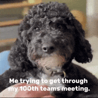 Tired One Second GIF
