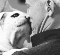 anderson cooper dog GIF