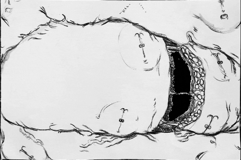 GIF by Alex Boya