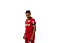 Bayer 04 Var Sticker by Bayer 04 Leverkusen