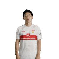 Football Facepalm Sticker by VfB Stuttgart