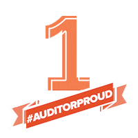 TheCAQ accounting ey pwc kpmg Sticker