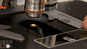 Water Hydra GIF by PBS Digital Studios