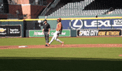 Ut GIF by Texas Longhorns