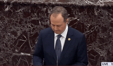 Adam Schiff GIF