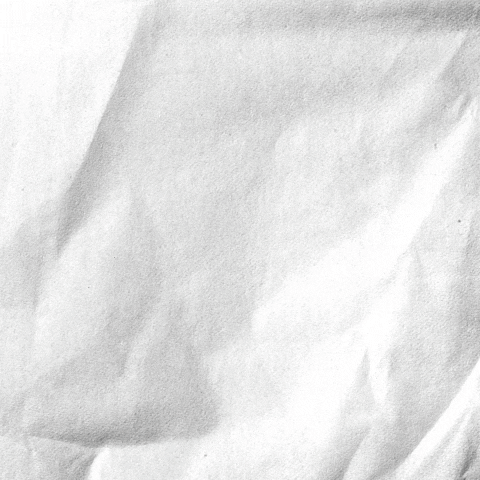 GIF by The Black Sheep Agency