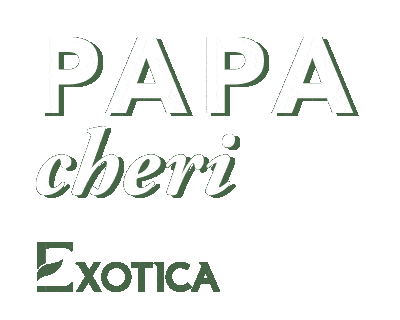 Loveyoudad Sticker by Exotica