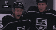 ice hockey hug GIF by NHL