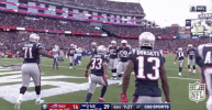 New England Patriots Football GIF by NFL