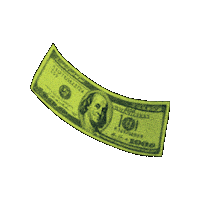 Dolar Sticker by Somos Nomos