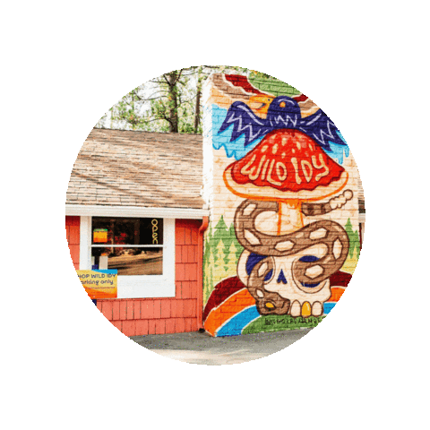 WildIdy giphygifmaker wild idyllwild idy Sticker