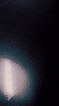 Gucci Milanfashionweek GIF