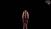 Volleyball GIF by CUCougars