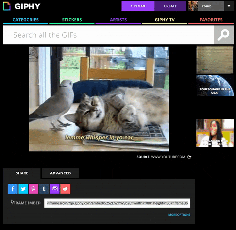 GIF by How To Giphy