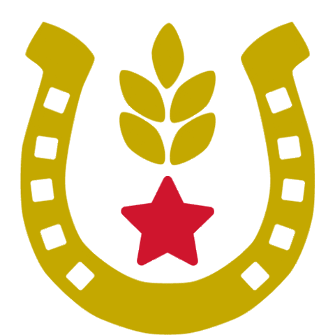 Party Drinking Sticker by Stem Ciders