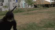 Martial Arts Fight GIF by RETRO-FIEND