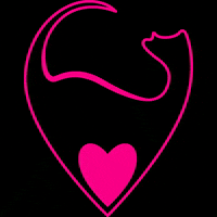 Kittensaus kittens brisbane stripclub GIF