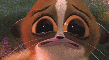 Madagascar Mort GIF