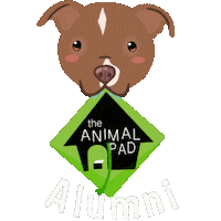 Dog Tap Sticker by theanimalpad