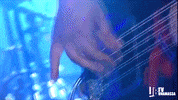 Germany Concert GIF by Joe Bonamassa