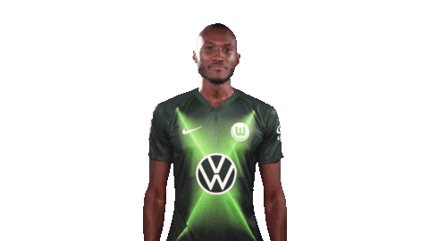 Josuha Guilavogui Instagram Sticker by VfL Wolfsburg