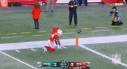 Regular Season Football GIF by NFL