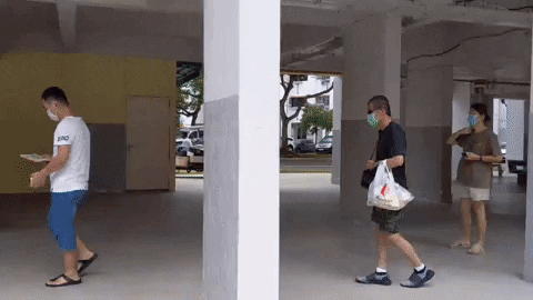 zhangxinzheng giphyupload GIF