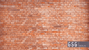 GSGBerlin work red space video GIF