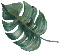 VagablondeTravel travel wedding vacation adventure Sticker