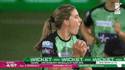 Melbourne Stars Celebration GIF by StarsBBL