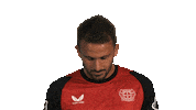 Look Up Bayer Leverkusen Sticker by Bundesliga