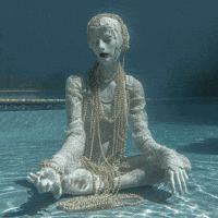 GIF by ellaknor