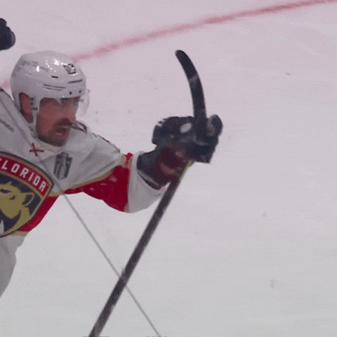 Hell Yeah Omg GIF by Florida Panthers