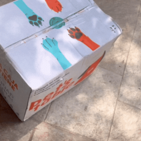 josecpulidoo giphyupload GIF