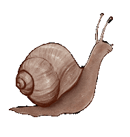 HannahGraceSmithArt pink animal snail hannahgracesmithart Sticker