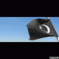 Faragalnemr GIF