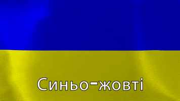 The Blue and Yellow