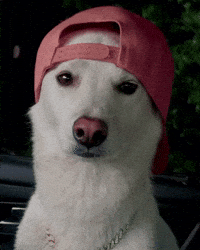 Justin GIF