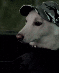 Eminem Dawg GIF