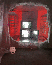 GIF by Alex Boya