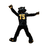 bscadmission bsc birmingham birmingham-southern bsc2024 Sticker