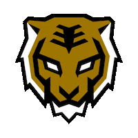 Seoul Dynasty Overwatch Sticker by Gen.G