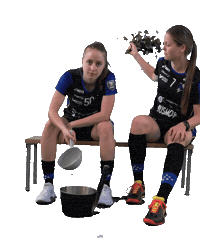Floorball Salibandy Sticker by F-liiga