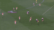 Goal Of The Year Afl GIF by Port Adelaide FC