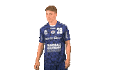 SGBBM handball urban lukas hande Sticker