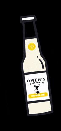 OwensMixers drink cheers drinking drunk GIF