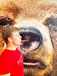 beerinabox happy beer in a box GIF