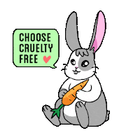 cruelty free bunny Sticker by Te Protejo
