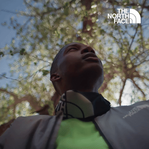 Have You Ever - The North Face